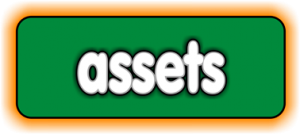 PAGE assets